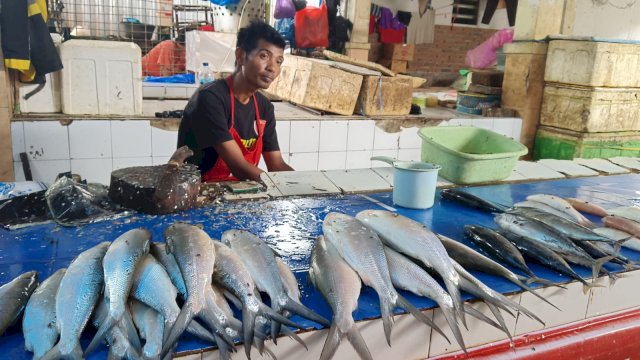 Harga ikan mengalami kenaikan signifikan selama musim penghujan. Foto: harian.news/sinta