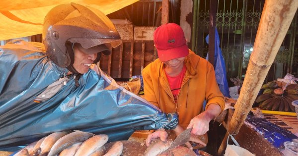 Pedagang Sebut Harga Ikan Melonjak, Kepala TPI Paotere: Masih Relatif Normal