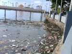 Banyak Sampah di Pinggiran Laut Losari, Pengunjung: Jorok