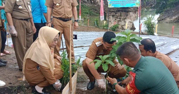 Kunjungi Desa Biringare, Bupati Pangkep Pimpin Penanaman Bibit dan Salurkan Bantuan Pangan
