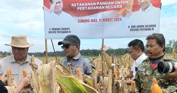 Kementan-Kemenhan Panen Raya Jagung di Kawasan Food Estate Gunung Mas