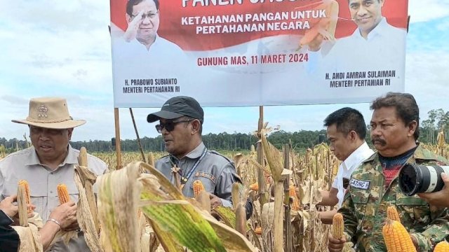 ementerian Pertanian (Kementan) bersama jajaran Kementerian Pertahanan (Kemenhan) melakukqan panen raya jagung di lahan food estate Desa Tewai Baru, Kecamatan Sepang, Kabupaten Gunung Mas, Provinsi Kalimantan Tengah, Senin (11/3/2024). Foto: dok
