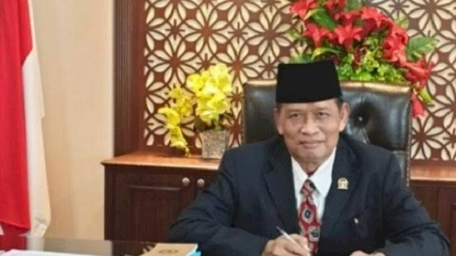 Legislator DPR RI, Haruna. Foto: ist 