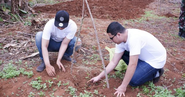 Peringati Hari Bumi, Mercure Makassar Lakukan Penanaman 1000 Pohon di Sudiang
