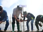 Pj Bupati Sinjai Tanam Pohon Mangrove di Pantai Pasimarannu