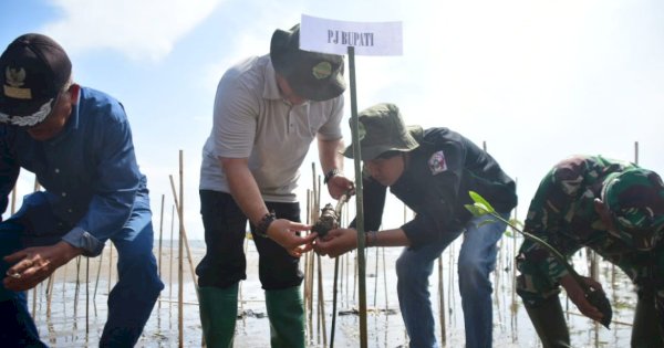 Pj Bupati Sinjai Tanam Pohon Mangrove di Pantai Pasimarannu