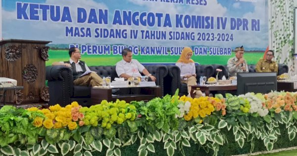 Bulog Sebut Luas Panen dan Produksi Padi di Sulsel Terus Menyusut, Pemerintah Diminta Ciptakan Lahan 3 Juta Hektar