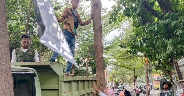 DLH Makassar Lakukan Pembersihan APK Cakada yang Tertancap Paku dan Kawat di Pohon