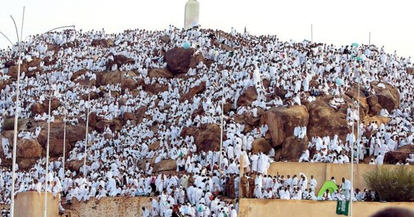 Puncak Haji, Seluruh Jemaah Laksanakan Wukuf di Arafah Hari ini