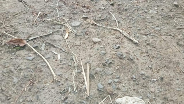 Lagi, LPK Sulsel Soroti Pembangunan Rabat Beton: Kali ini di Desa Loka