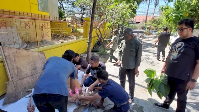 Anggota DPR RI terpilih Deng Ical menyembelih langsung hewan qurban, Selasa (18/6). 