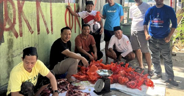 Iduladha, KNPI Makassar Sembelih 1 Ekor Sapi