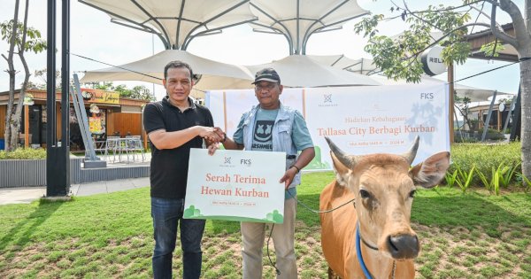 FKS Land – Tallasa City Berbagi Berkah Iduladha, Salurkan 5 Ekor Sapi Kurban