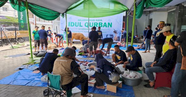 Pegadaian Kanwil Makassar Sembelih 107 Hewan Kurban pada Perayaan Iduladha 1445 H