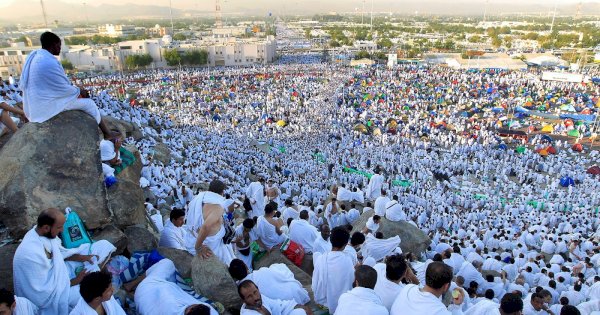 Imigrasi Berhasil Gagalkan 264 Calon Jemaah Haji Ilegal dari Bandara Soetta