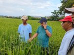 Kabar Gembira untuk Petani, Pemkab Jeneponto Tambah Kuota Pupuk hingga 50.000 ton