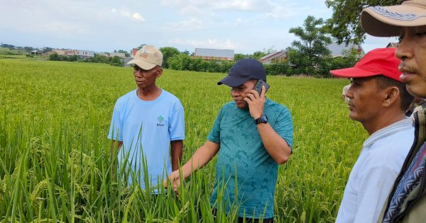 Kabar Gembira untuk Petani, Pemkab Jeneponto Tambah Kuota Pupuk hingga 50.000 ton
