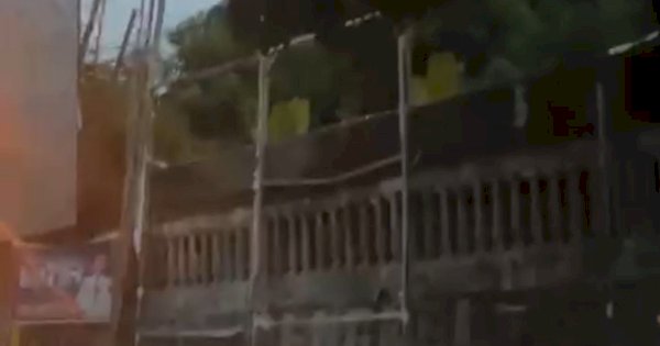 Sejumlah Baliho Erat Dirusak, Erna Rasyid Taufan: Jangan Saling Menjatuhkan!