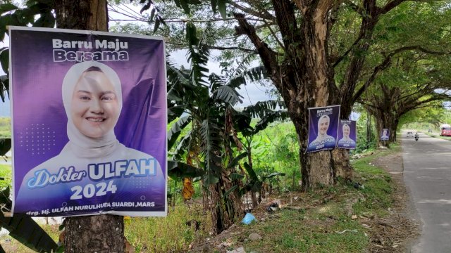 APK dokter Ulfah di ruas jalan Kabupaten Barru, APK ini disoroti lantaran memakai paku dan pohon sebagai media kampanye politik. FOto: HN/MY Yahya