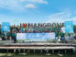 Peringati Hari Lingkungan Hidup Sedunia, Alam Sutera Gelar Penanaman 10.000 Pohon Mangrove