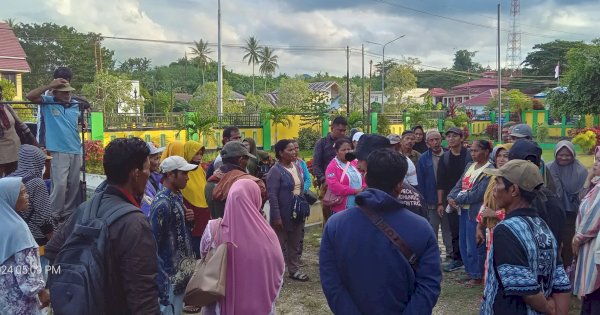 Nasib Petani Plasma Sawit di Buol: Dirundung Ketidakadilan Pengusaha hingga Diabaikan Pemerintah