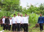 Tinjau Pompanisasi di Bantaeng, Presiden dan Mentan RI Optimis Produksi Beras Nasional Meningkat