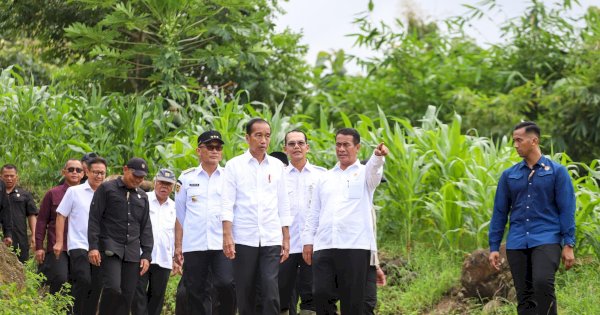 Tinjau Pompanisasi di Bantaeng, Presiden dan Mentan RI Optimis Produksi Beras Nasional Meningkat