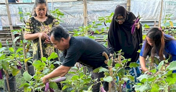 Berkat Urban Farming, Warga Makassar Bisa Panen Cabai dan Terong Ungu dengan Mudah