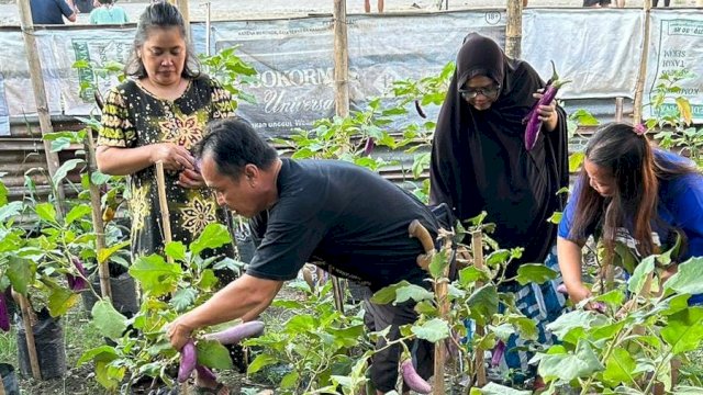 Warga Tamamaung panen cabai, tomat dan terong hasil Urban Farming. (Foto: Shinta/HN)