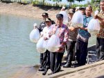 Dampingi Pj Gubernur Sulsel, Danny Pomanto Lepas Puluhan Ribu Benih Ikan di Waduk Nipa-Nipa