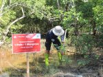 Hari Mangrove Sedunia, Generali Indonesia Sumbang 3,2 Juta Carbon Offset