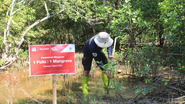 Hari Mangrove Sedunia, Generali Indonesia Sumbang 3,2 Juta Carbon Offset