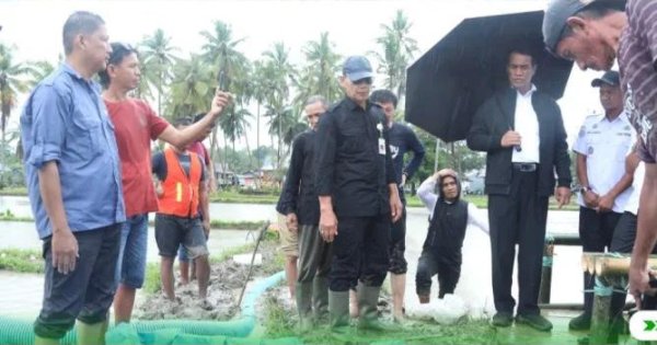 Persiapan Mentan Amran Sulaiman Sambut Kunker Presiden di Bone