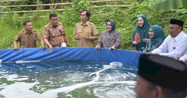 Indira Yusuf Ismail Tebar Benih Udang Vaname di Tanjung Merdeka, Dukung Pemberdayaan Ekonomi Keluarga