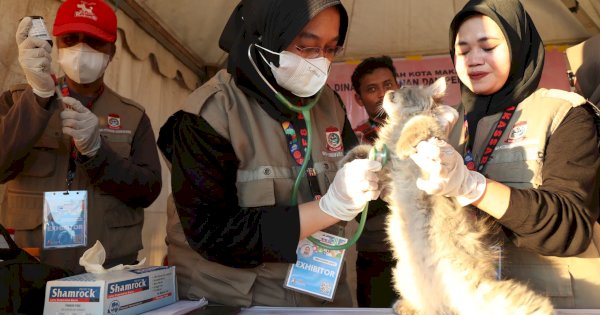 Dinas Perikanan dan Pertanian Makassar Sediakan Vaksinasi Rabies Gratis di F8 Makassar