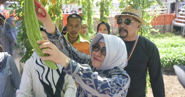 Ketua TP PKK Makassar Apresiasi Budidaya Pangan di Lorong Wisata Asoka dan Ichinomia
