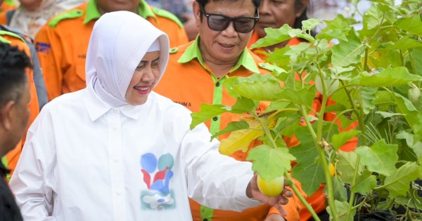 Indira Yusuf Ismail Tinjau Lorong Wisata Sydney, Apresiasi Perubahan dan Dukung Pengembangan Wisata Kuliner