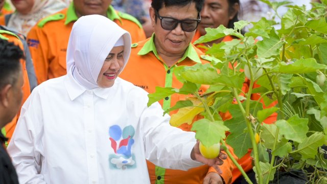 Ketua TP PKK Kota Makassar, Indira Yusuf Ismail, melakukan kunjungan dan peninjauan ke Lorong Wisata Sydney yang terletak di Kelurahan Tello Baru, Kecamatan Panakkukang, Rabu (07/08/2024).