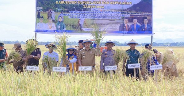 Berbaur dengan Petani, Bupati MYL Pimpin Panen Raya di Daerah Irigasi Tabo-tabo