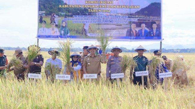 Bupati MYL mendampingi petani dalam panen raya di daerah Irigasi Tabo-tabo. Foto: HN/MY Yahya