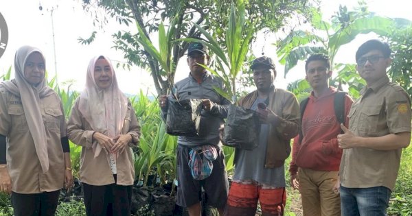Tingkatkan Produktivitas Pertanian, Dinas TPH Bun Sulsel Salurkan Bibit Gratis di 4 Kabupaten