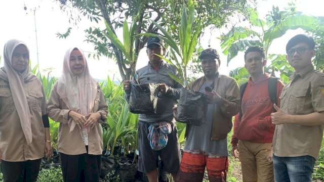 Tingkatkan Produktivitas Pertanian, Dinas TPH Bun Sulsel Salurkan Bibit Gratis di 4 Kabupaten