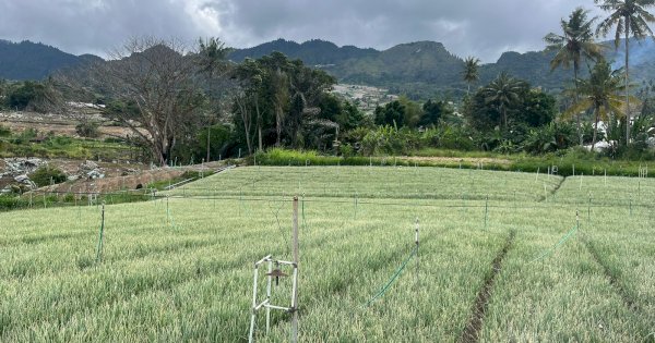 Listrik Hijau PLN Mampu Tekan Biaya Operasional Petani di Sulsel hingga 83 Persen