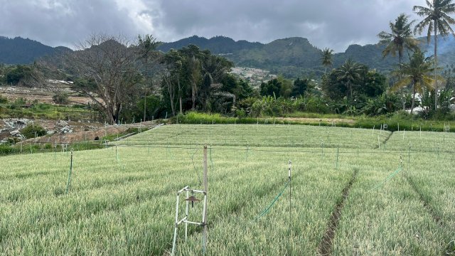 Listrik Hijau PLN Mampu Tekan Biaya Operasional Petani di Sulsel hingga 83 Persen