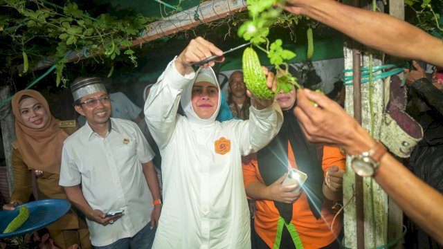 Ketua TP PKK Kota Makassar Panen Pare di Lorong Wisata Mildura, Tegaskan Pentingnya Kemandirian Pangan