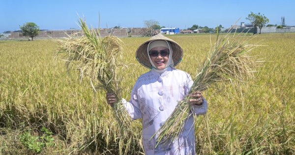 Ketua TP PKK Makassar Apresiasi Inovasi Pertanian dalam Musyawarah Tani di Barombong