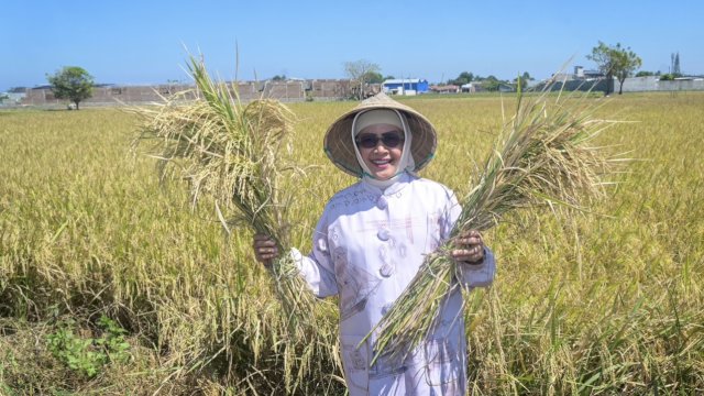 Ketua TP PKK Makassar Apresiasi Inovasi Pertanian dalam Musyawarah Tani di Barombong
