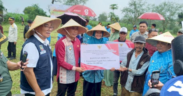Disebar Sejak Mei, Pemprov Laporkan Ratusan Ribu Kg Pupuk Tersalurkan di Berbagai Daerah