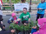 Anggota DPR RI Deng Ical Bagikan Bibit Pohon Gratis di CFD