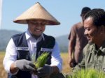 Danny Sebut Petani Menjerit, Justru Pertanian Sulsel Berjaya di Era Andi Sudirman Sulaiman